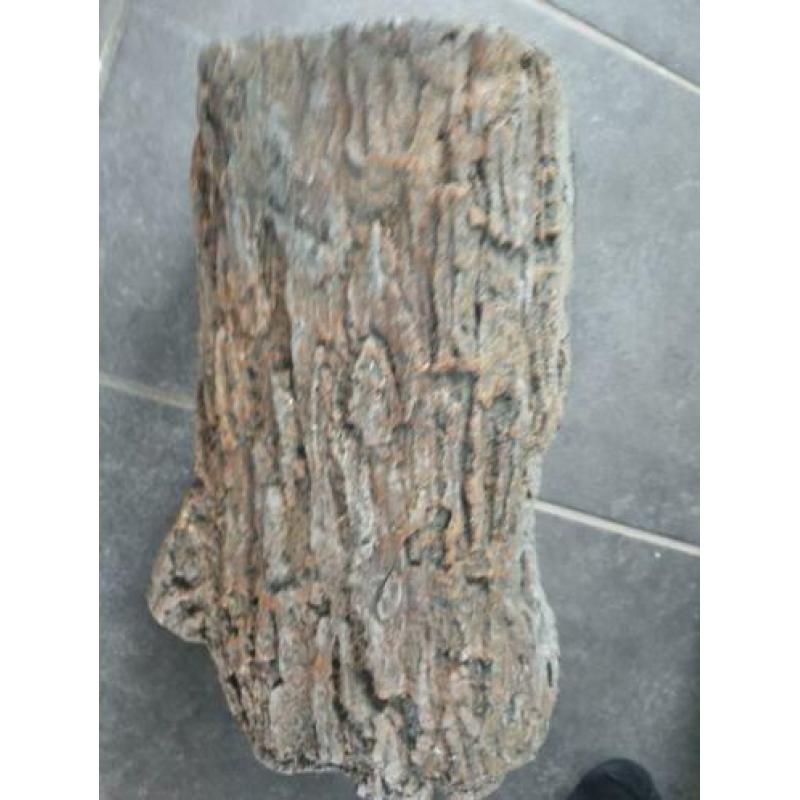 floating log drijvende boomstam gebruikt