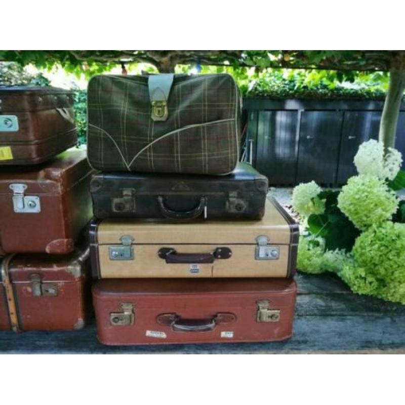 Collectie koffers