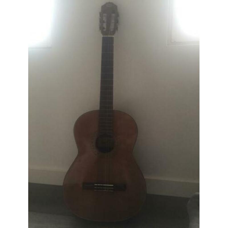 Concert guitar aria model A C-8