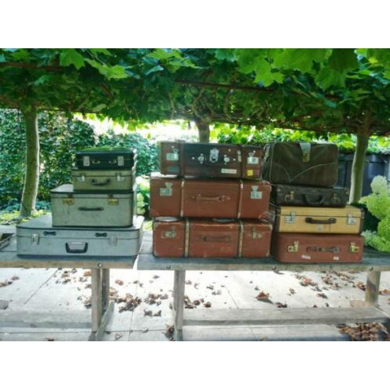 Collectie koffers