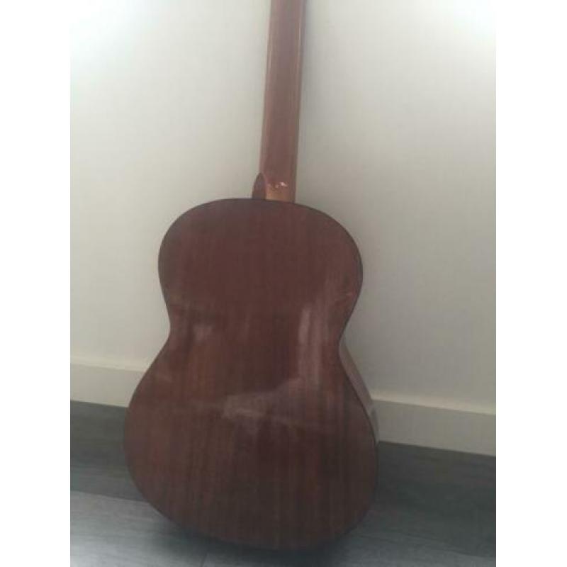 Concert guitar aria model A C-8
