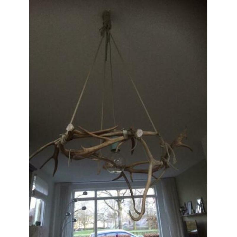 Rendiergewei lamp