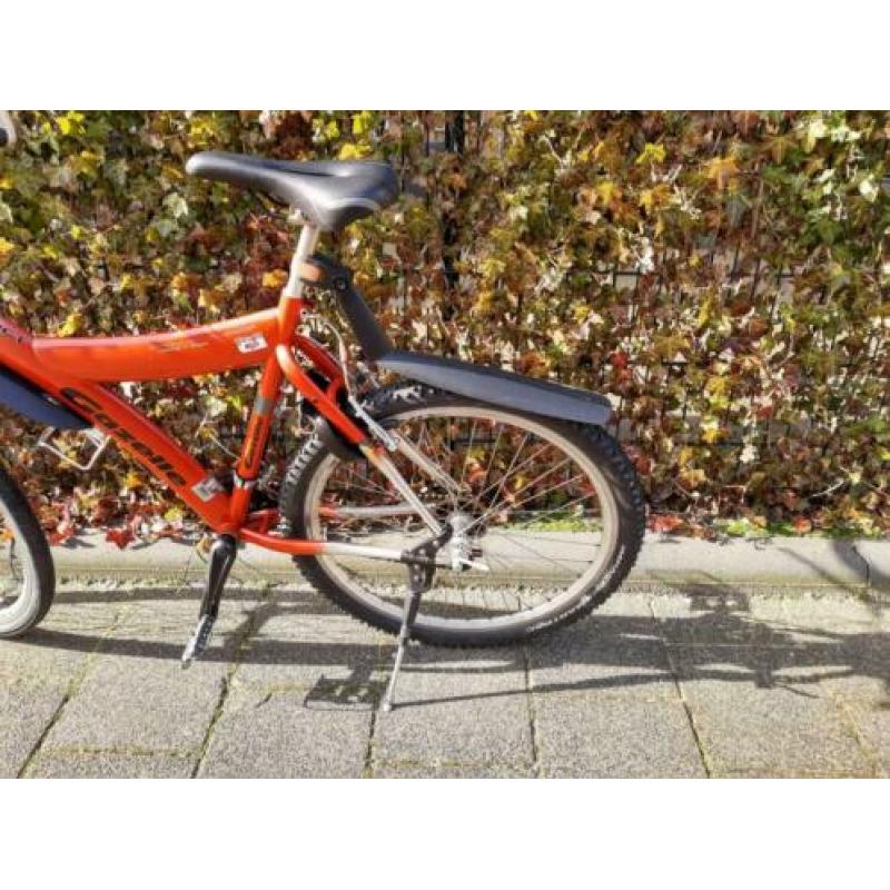 Tekoop mountenbike gazelle instinct rst