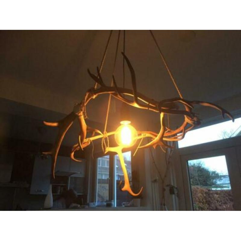 Rendiergewei lamp