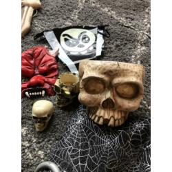 Halloween / spook / griezel artikelen