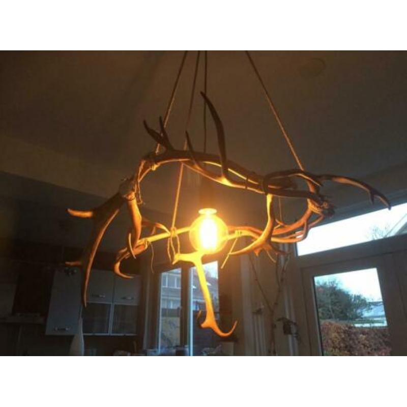 Rendiergewei lamp