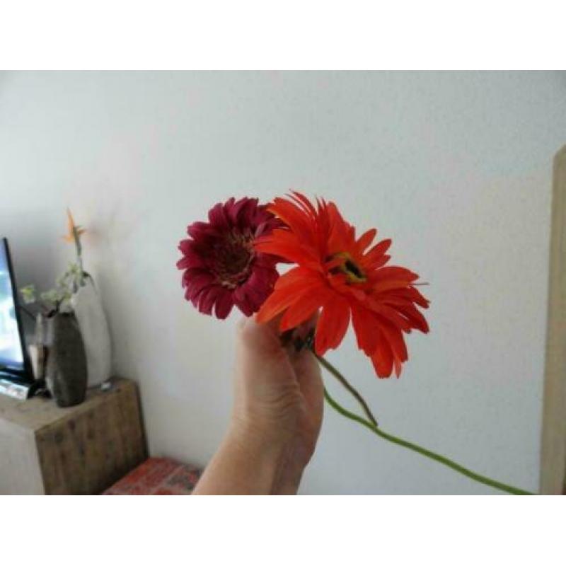 Kleine bloemen verzameling alles in 1 koop Orchidee Roos