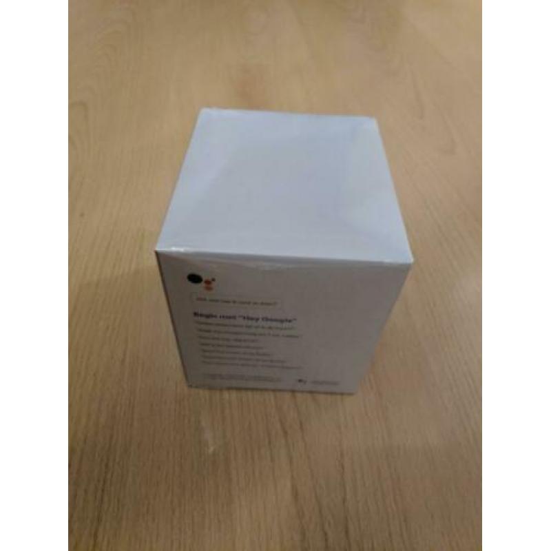 Google Home Mini