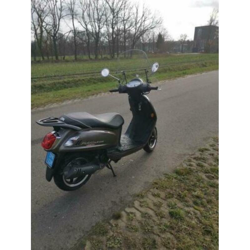 Sym fiddle 2 te koop