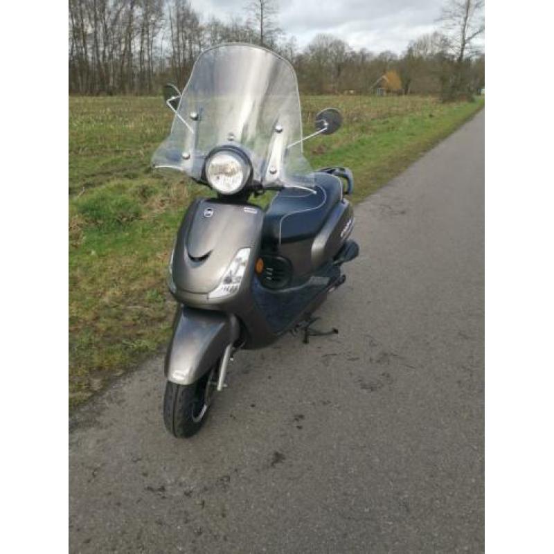 Sym fiddle 2 te koop