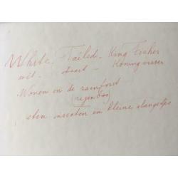 Mooi geschilderd schilderij