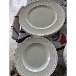 Wedgewood windsor