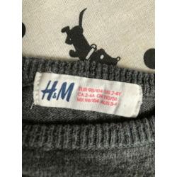 Trui H&M maat 104 meisje