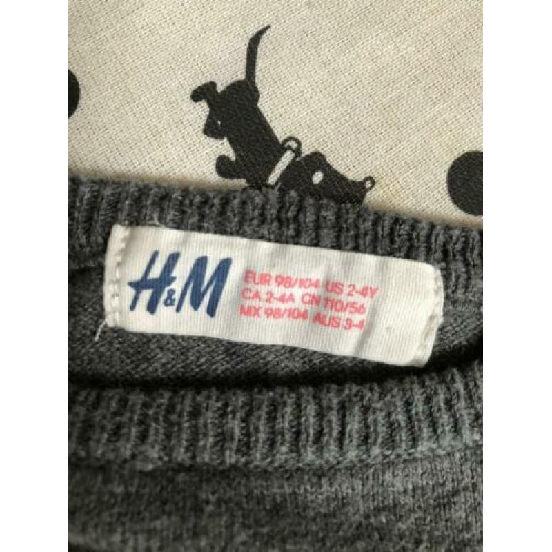 Trui H&M maat 104 meisje