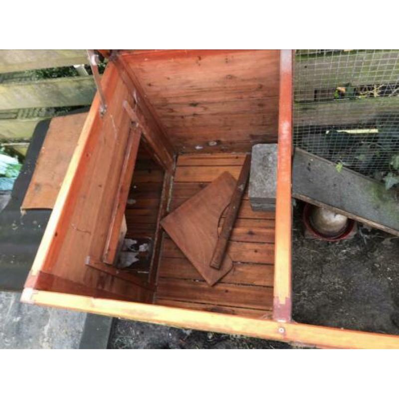 Kippenren met broedkast