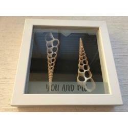Vele lijsten / sets met schelpen