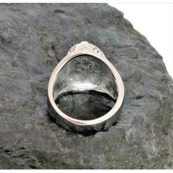 Vrijmetselaars Ring 316L Roestvrij staal. Nr. 1901103