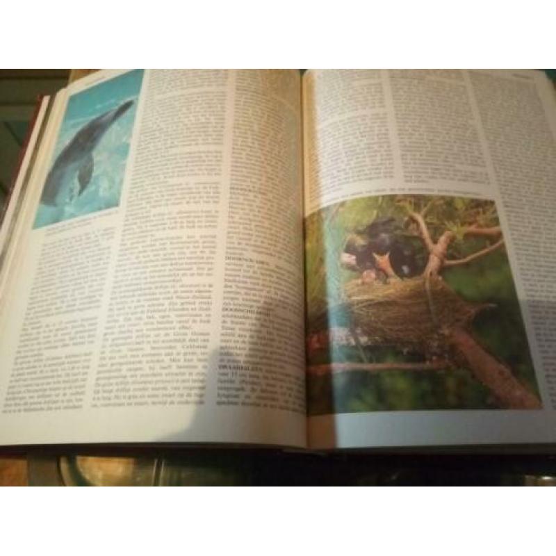Grote Dieren Encyclopedie in kleur 400 pagina's