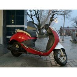 Sym mio snor blauw kenteken