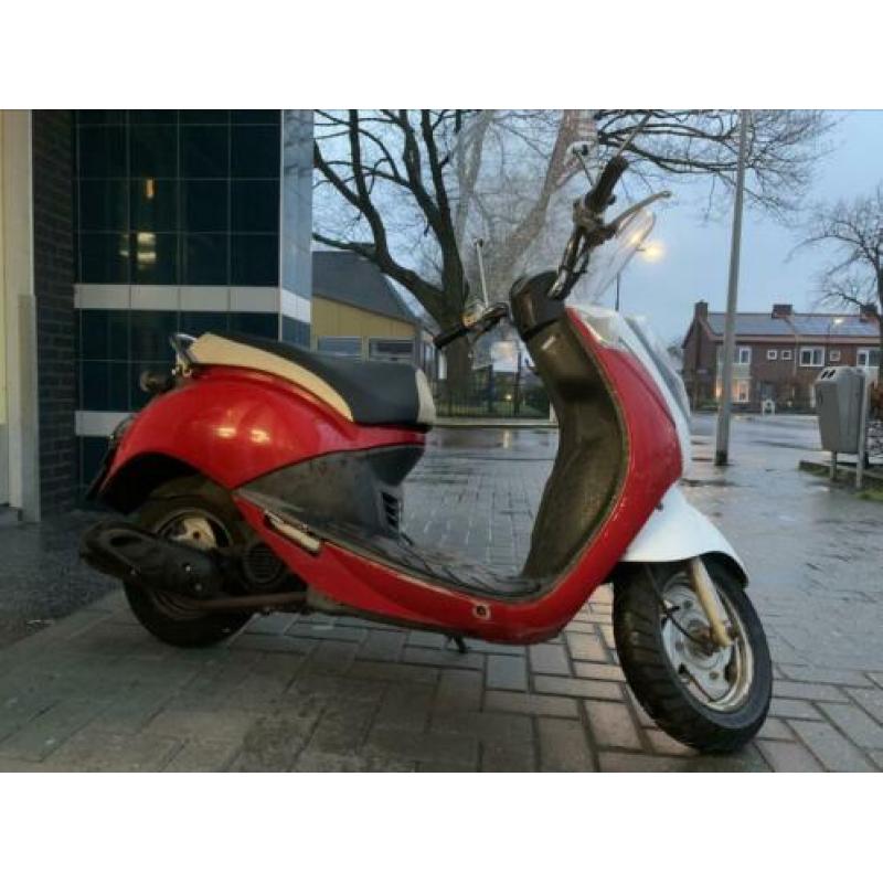 Sym mio snor blauw kenteken