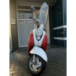 Sym mio snor blauw kenteken