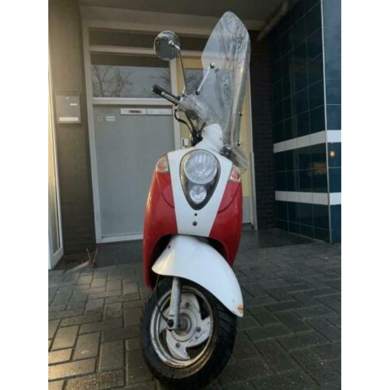 Sym mio snor blauw kenteken