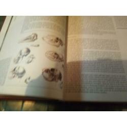 Grote Dieren Encyclopedie in kleur 400 pagina's