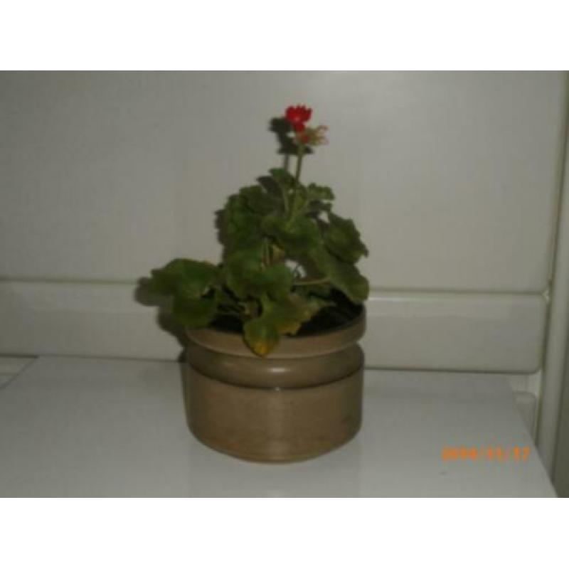 vintage potten COR UNUM design Zweitze Landsheer '70