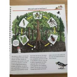 We ontdekken het bos