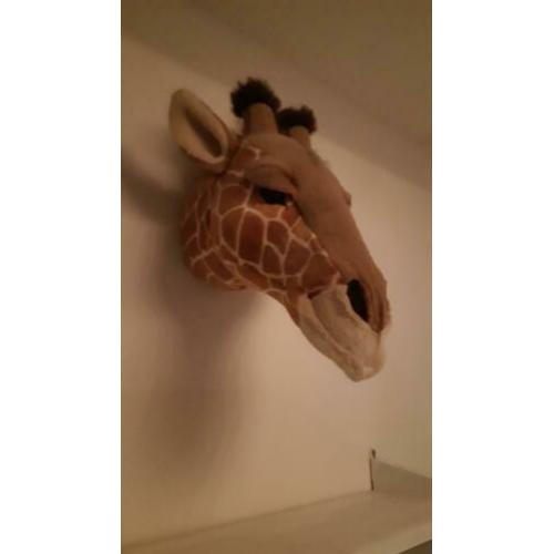 Giraffe dierenkop voor aan de muur