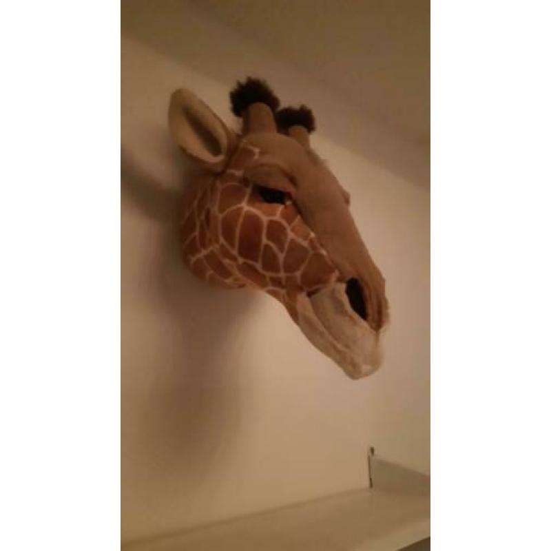 Giraffe dierenkop voor aan de muur