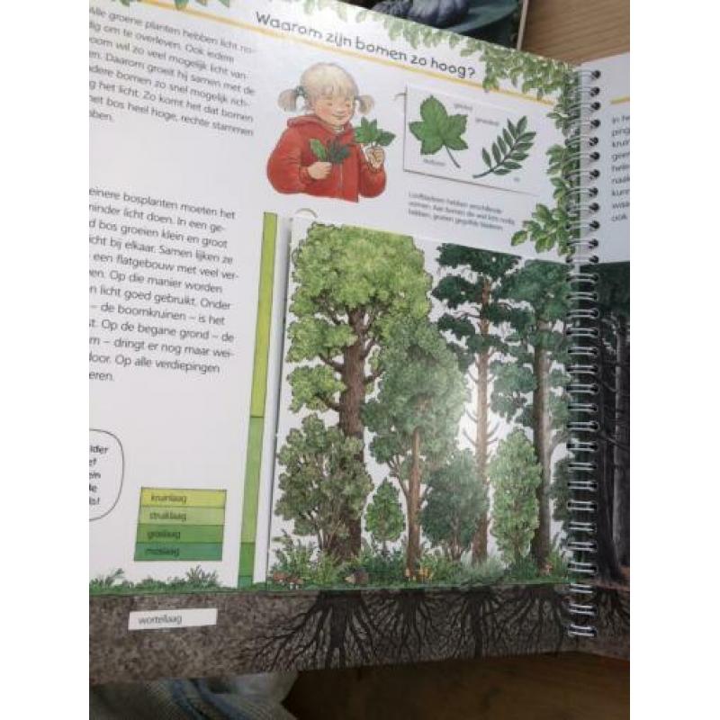We ontdekken het bos