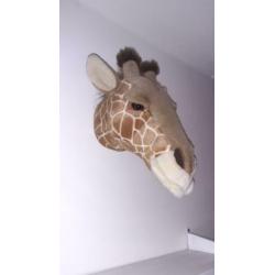 Giraffe dierenkop voor aan de muur