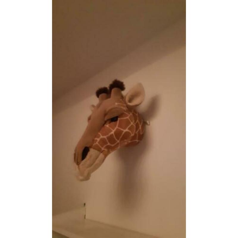 Giraffe dierenkop voor aan de muur