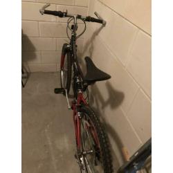 Impala mountainbike unisex