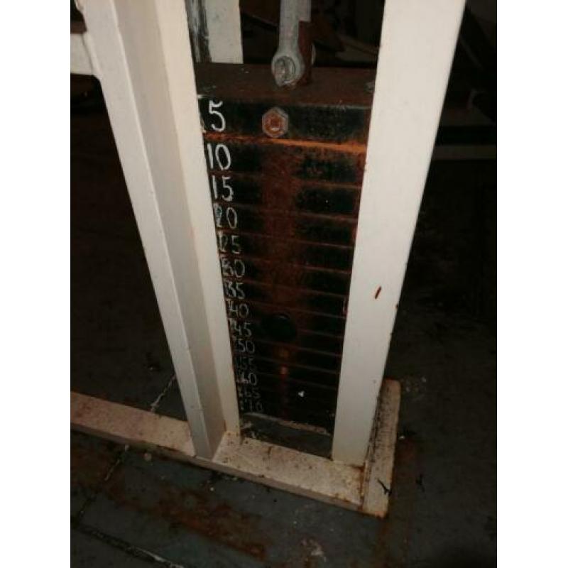 Biceps machine