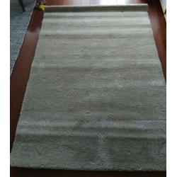 Nieuw prachtig beige vloerkleed