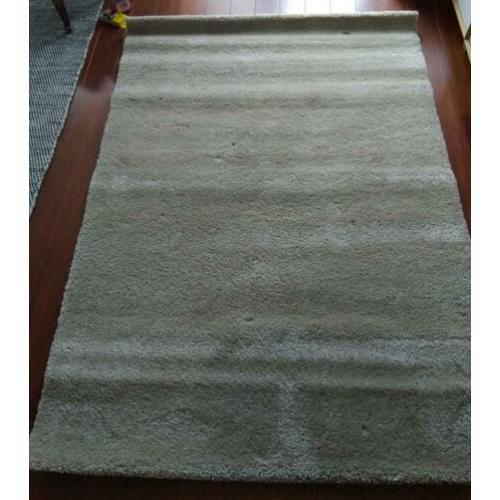 Nieuw prachtig beige vloerkleed