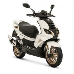 Peugeot Speedfight 4 pure wit-goud 45 KM