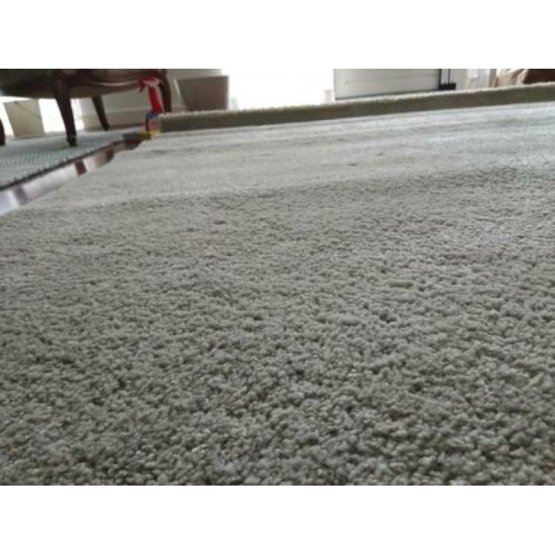 Nieuw prachtig beige vloerkleed