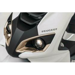 Peugeot Speedfight 4 pure wit-goud 45 KM