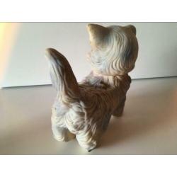 Piepfiguur kat met knikkeroogjes