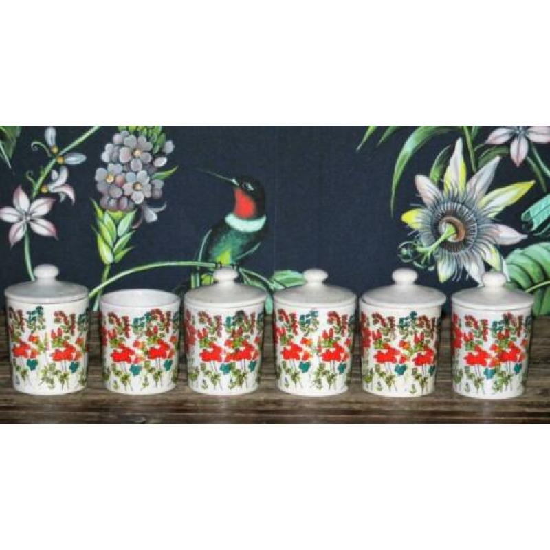 6 Retro kruidenpotjes keramiek potjes vintage (1211)