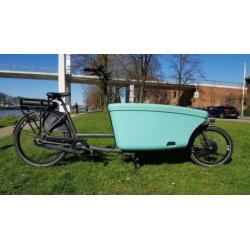 E-Dolly bakfiets Aqua Blue 750 Wh accu