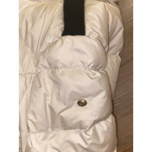 Goldbergh jas M
