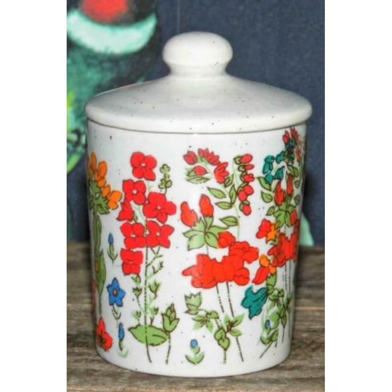 6 Retro kruidenpotjes keramiek potjes vintage (1211)