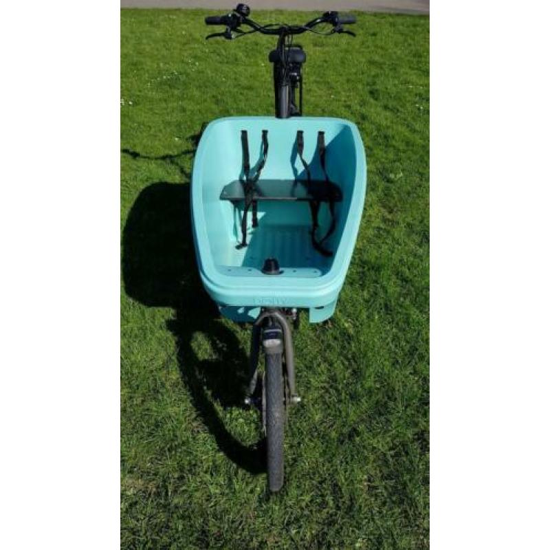 E-Dolly bakfiets Aqua Blue 750 Wh accu