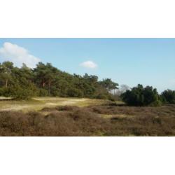 TE HUUR 4 persoons stacaravan chalet BEERZE overiissel