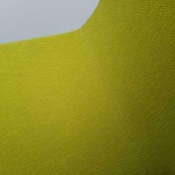 Luxe design fauteuils op verchroomde kolompoot- limegroen