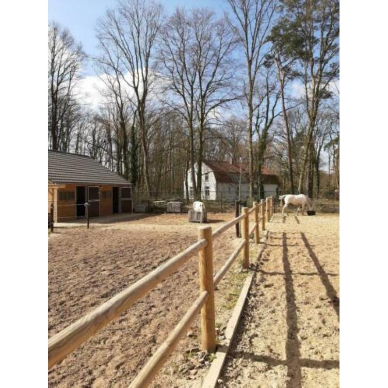 Paddock paradise met wei heeft plek voor 1 of 2 ponies